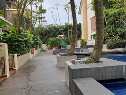 Holland Link (D10), Terrace #466827031